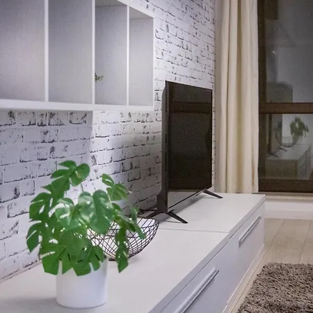 Gorgeous Luxury Aviatiei Apartament Bukareszt